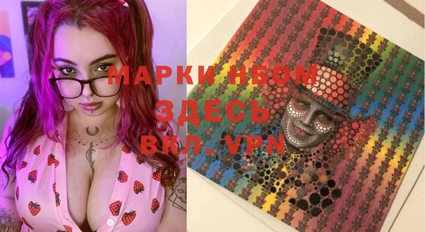 соль ск Новодвинск