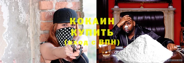 соль ск Новодвинск