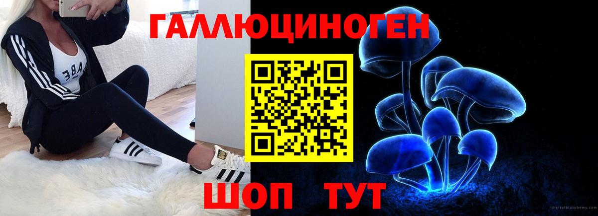 Рассказово  Псилоцибиновые грибы мухоморы  Вход с VPN 